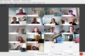 Screenshot der Videokonferenz