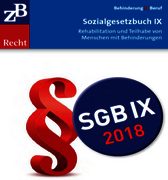 Titelbild der aktuellen Auflage des SGB IX (Bild: BIH) Titelbild der Publikation